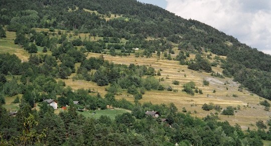 Nachhaltige Entwicklung der Terrassenlandschaften der Schweiz