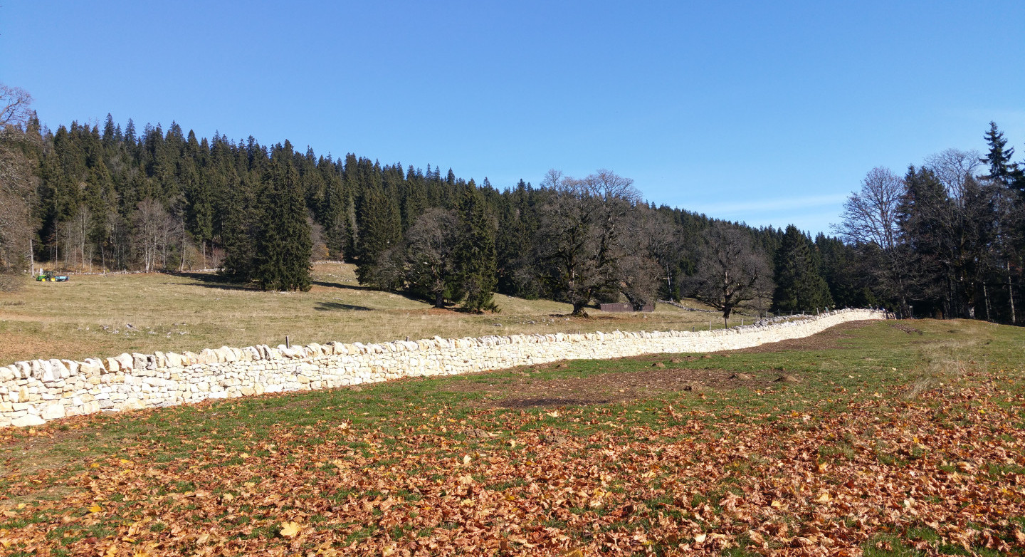 Mur de pierres sèches, Chemin des Pionniers, Val-de-Ruz (NE)