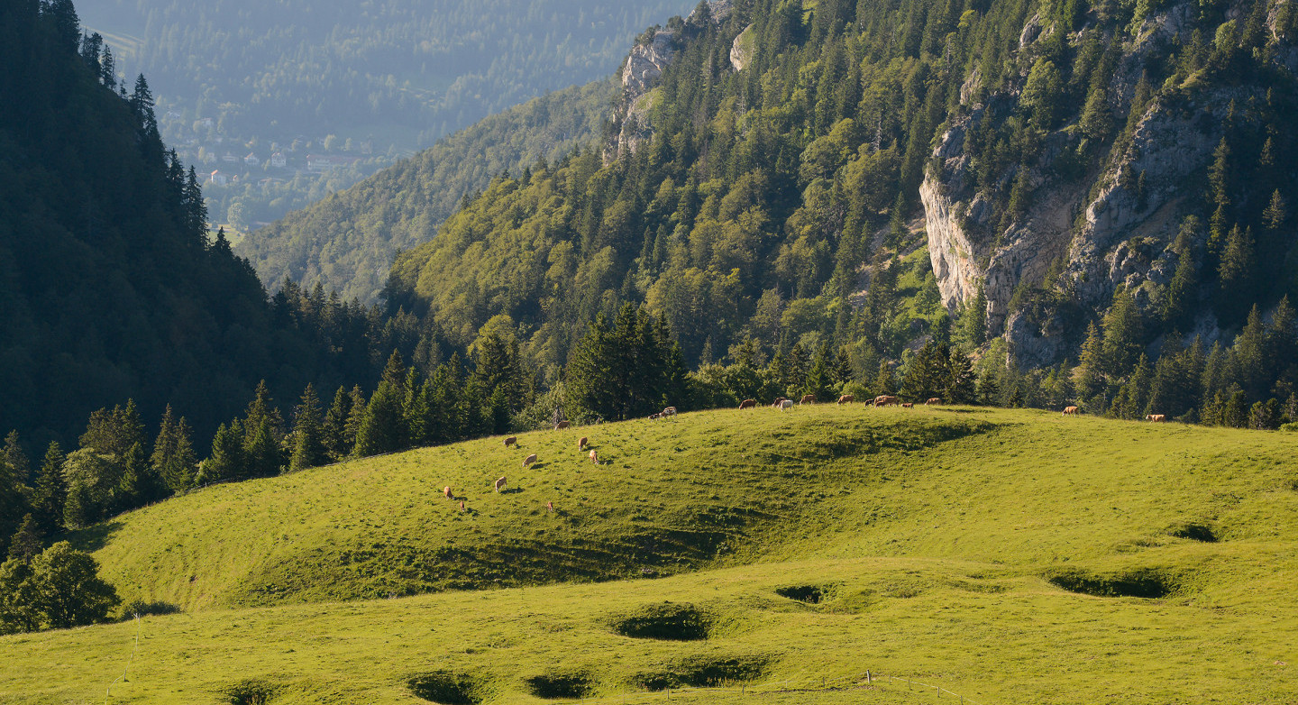 La Fondation suisse pour la protection du paysage au chevet des dolines