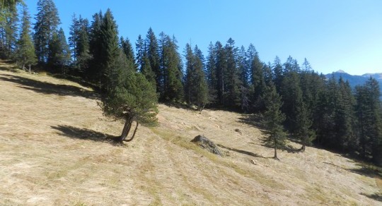 Preisverleihung Landschaft des Jahres 2019