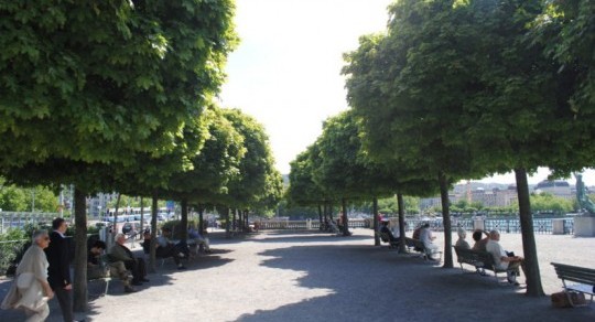 Dites-moi où sont les arbres... Stratégies d’avenir en matière d’espaces non construits et d’espaces verts