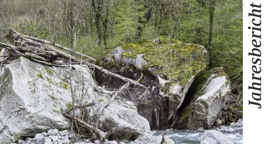 Scopra il nuovo rapporto annuale 