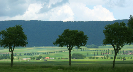 Paysage de l'année 2022: les paysages d'allées du Val-de-Ruz (NE)