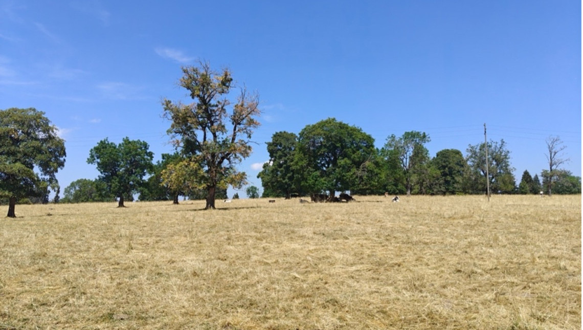 Landschaft und Klimawandel
