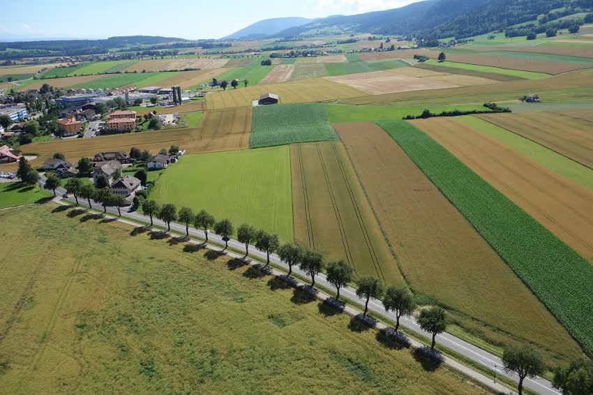 Grüne Infrastrukturen stärken