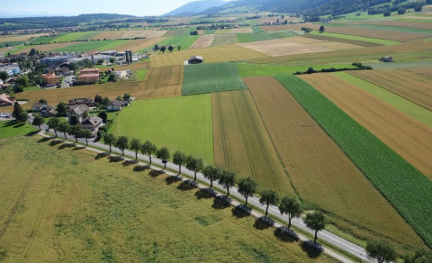 Grüne Infrastrukturen stärken