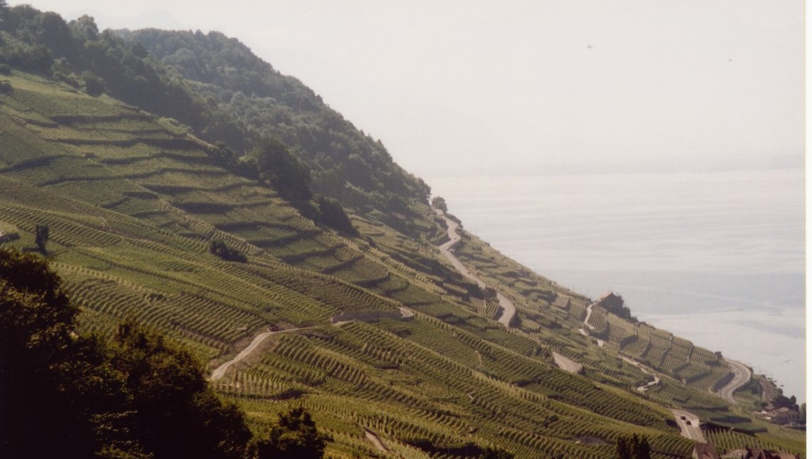 Vignobles de Lavaux: le paysage comme ressource