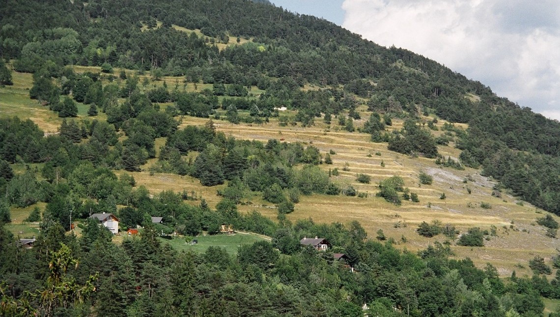 Entwicklung der Terrassenlandschaften