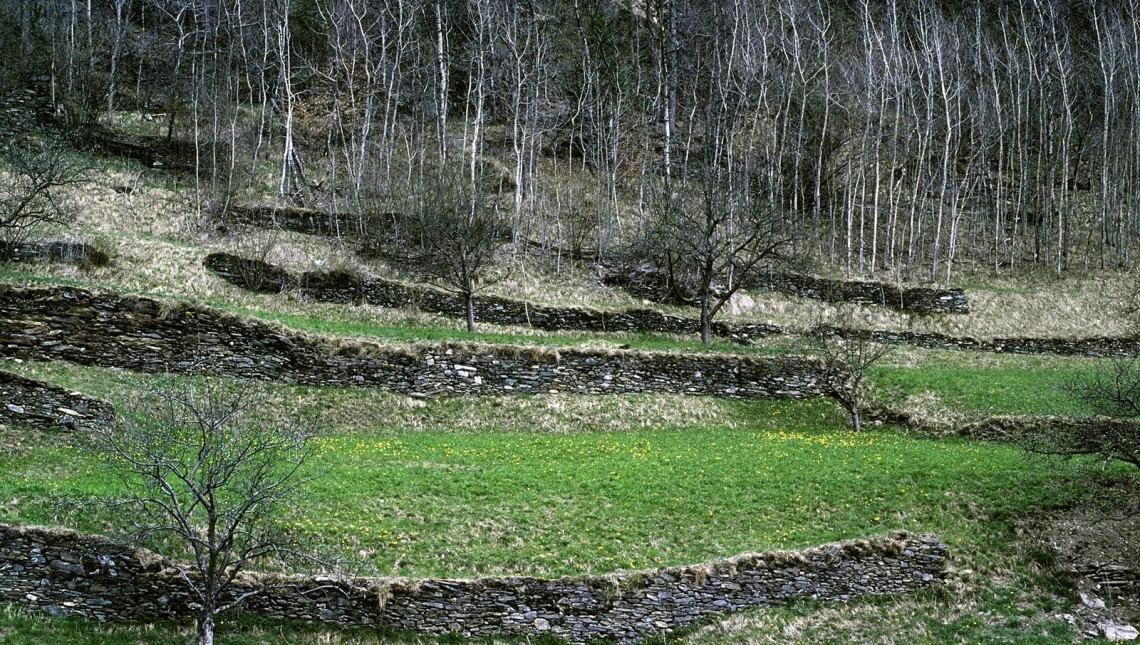 Préservation paysages ruraux