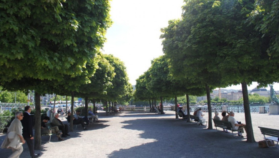 Dites-moi où sont les arbres... Stratégies d’avenir en matière d’espaces non construits et d’espaces verts