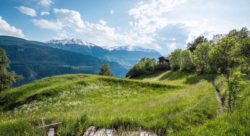 Paysage de l'année 2020