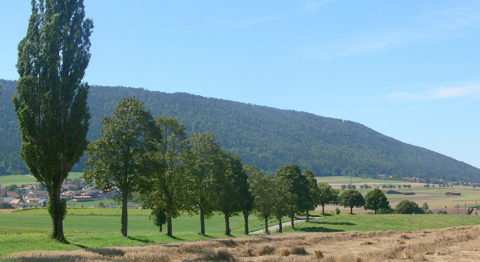 Landschaft des Jahres 2022