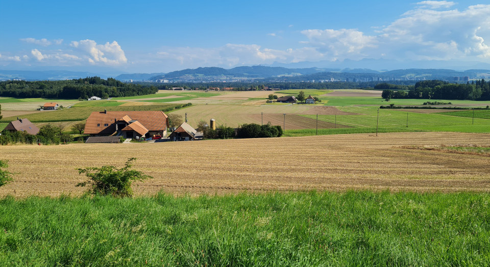 Paysage de l’année 2024 : Le paysage de hameaux du plateau du Frienisberg