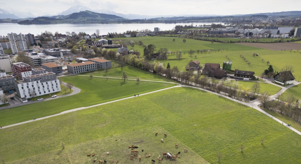 Paysage de l'année 2026