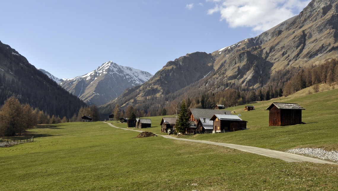 Landschaft des Jahres