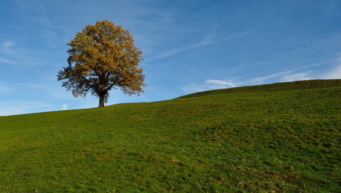 Prese di posizione