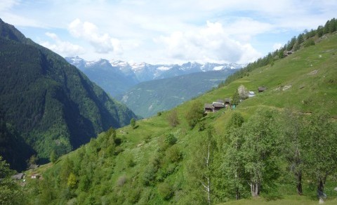 Instandstellung des historischen Weilers Germanionico