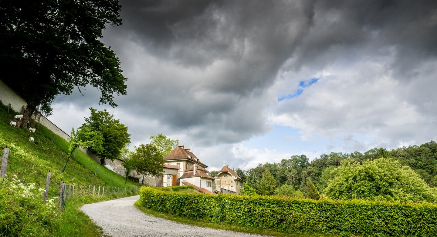 Abbaye d'Hauterive