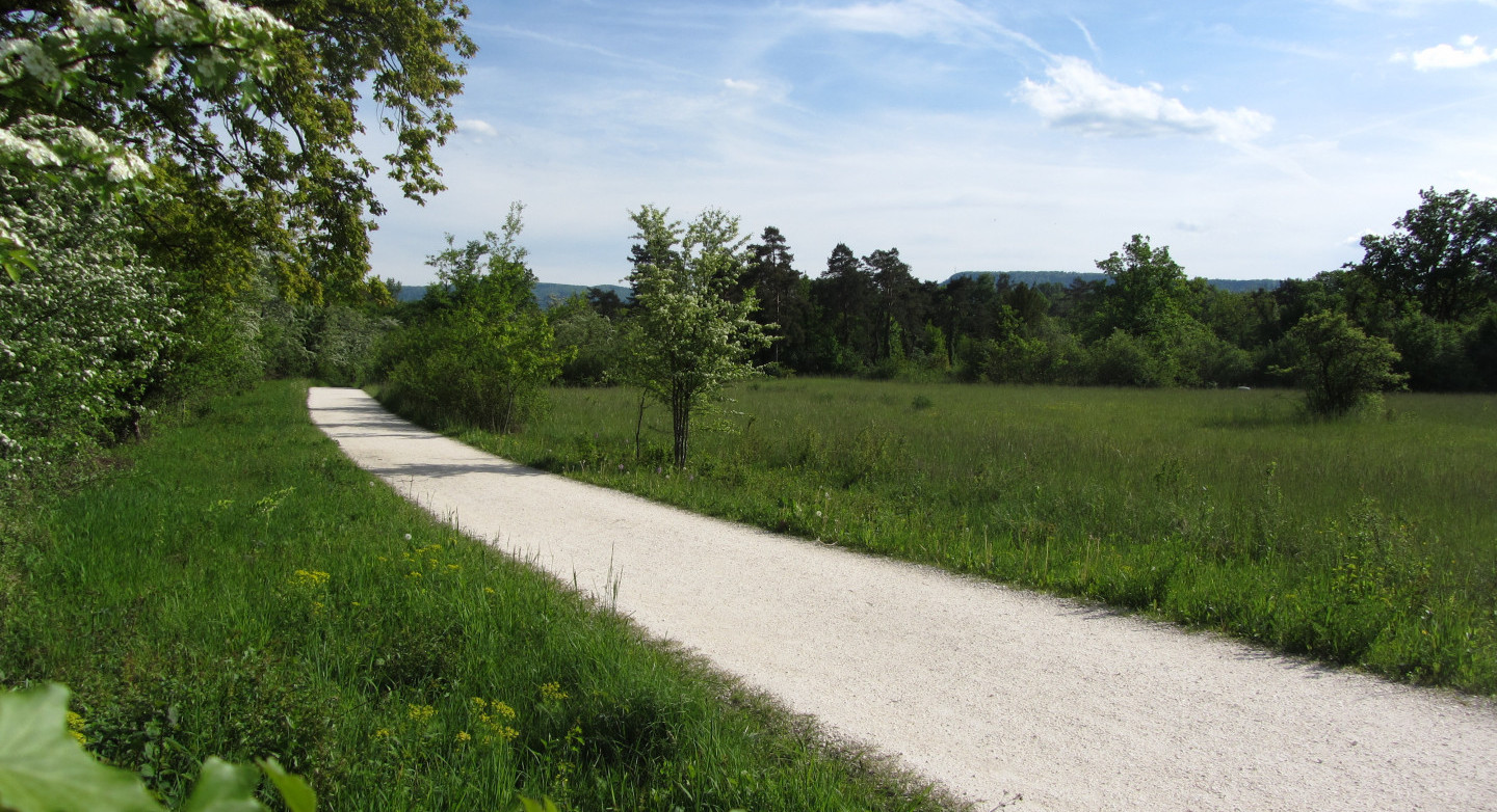 Weg in der Reinacherheide BL