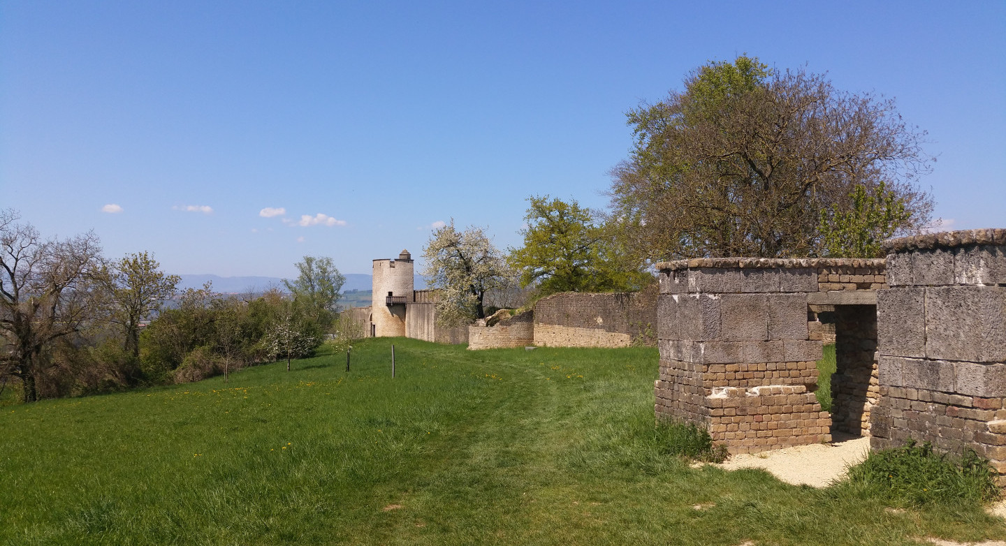 Die römische Stadtmauer von Avenches