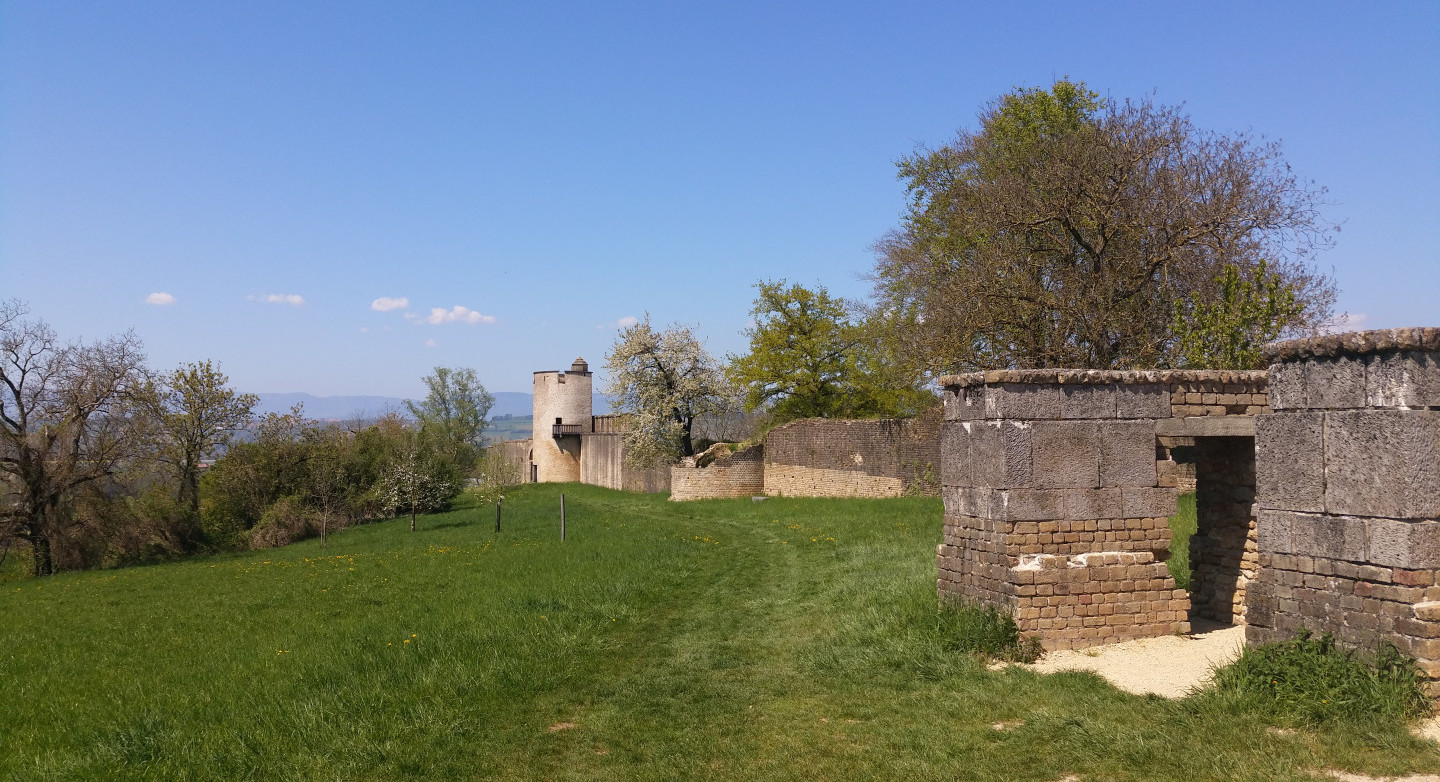 L'enceinte romaine d'Avenches