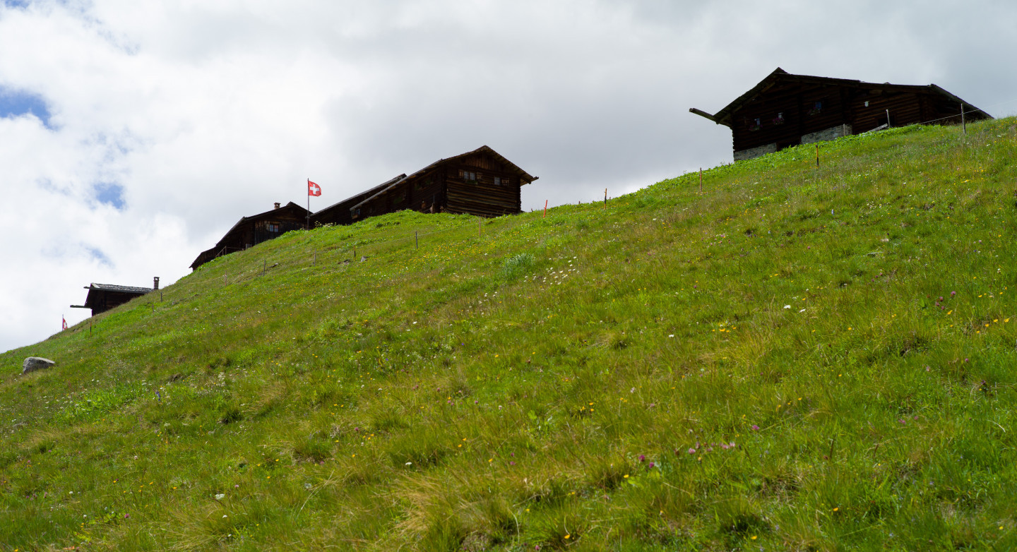 50 Jahre Stiftung Landschaftsschutz Schweiz – Historische Filmrückblicke