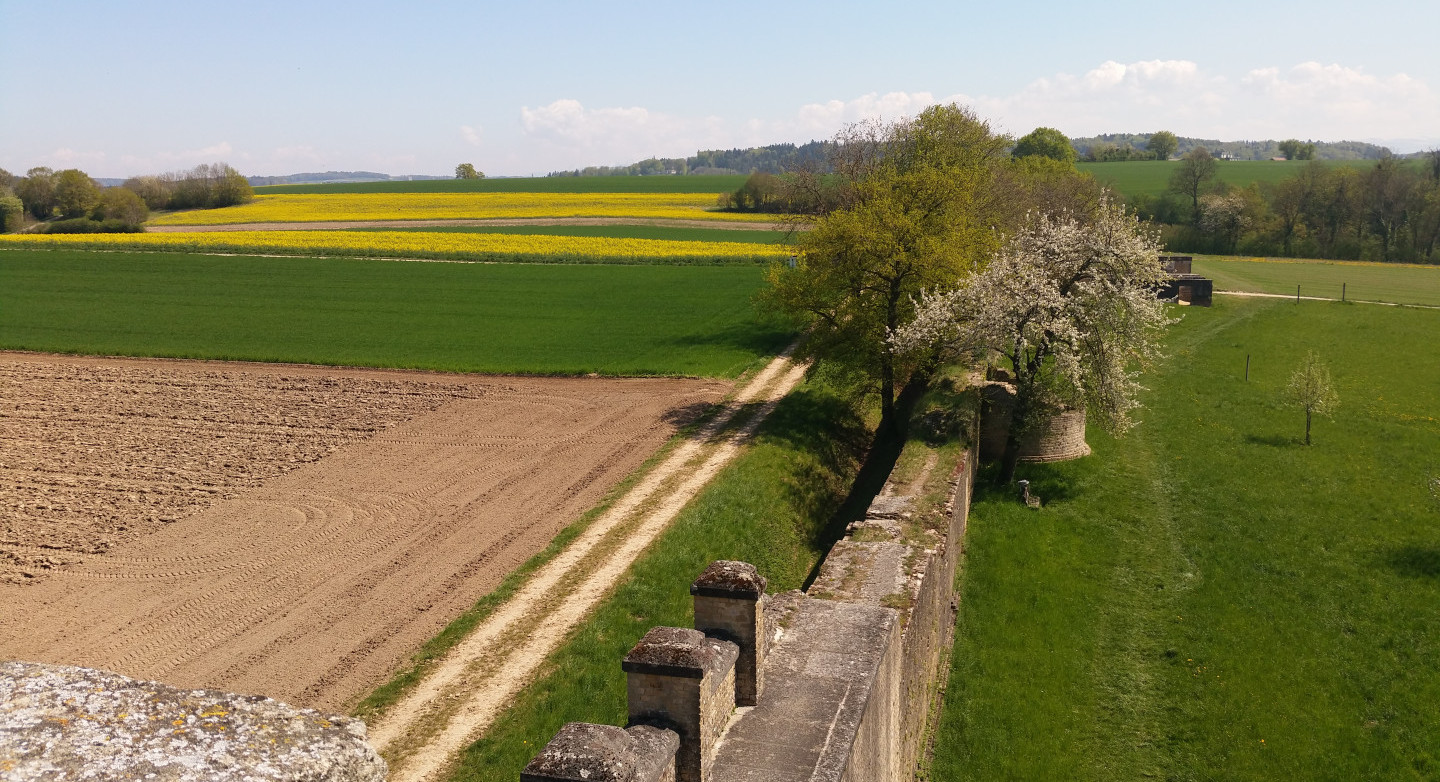 La Fondation suisse pour la protection et l’aménagement du paysage au chevet du mur d’enceinte d’Aventicum vieux de 2000 ans