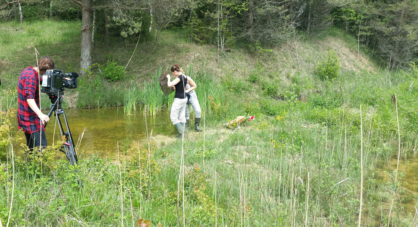 Récupérer le paysage d'antan 