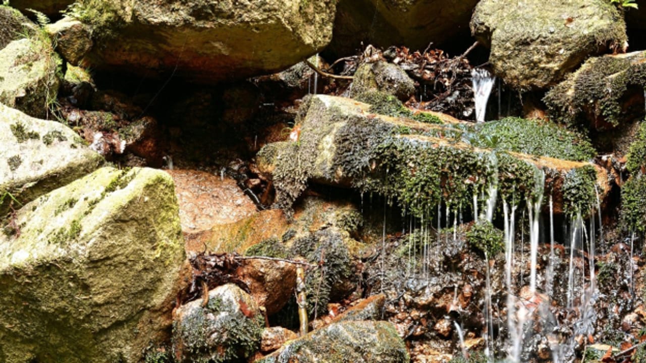 Outdoor-Reporter - Quellen; Naturschauplätze in der Schweiz (Radio SRF 1, 03.07.24)
