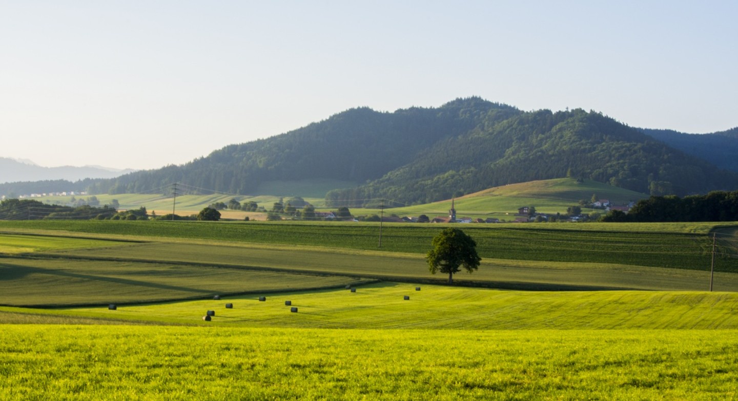 Studien zu Landschaftsthemen