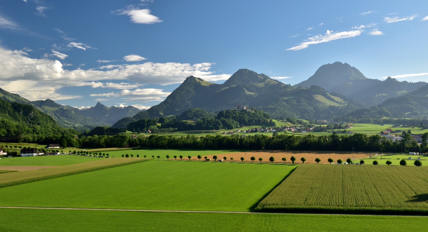 Papiers de position relatifs au paysage