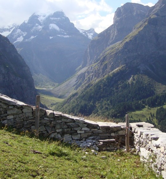 Landschaftspflege-Projekte