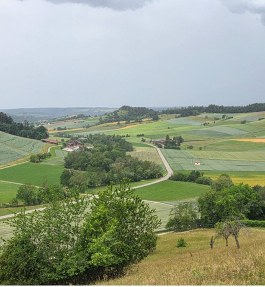 Schwammlandschaften gestalten