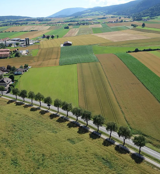 Grüne Infrastrukturen stärken